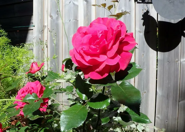 Le De L'ours Blanc Appartamento Chamonix